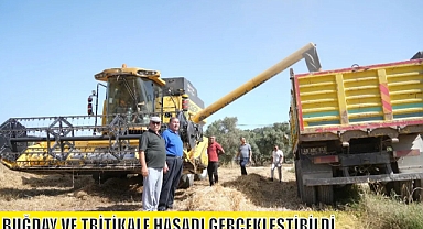 BUĞDAY VE TRİTİKALE HASADI GERÇEKLEŞTİRİLDİ