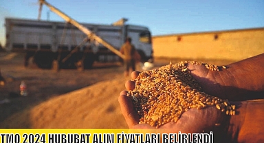 TMO 2024 HUBUBAT ALIM FİYATLARI BELİRLENDİ