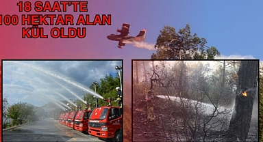 18 SAAT’TE 100 HEKTAR ALAN KÜL OLDU 