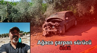 Ağaca çarpan sürücü öldü