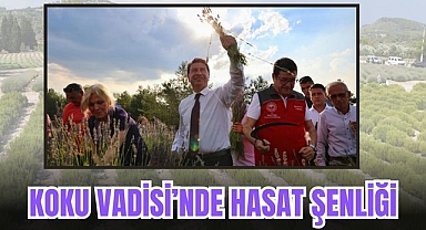 KOKU VADİSİ’NDE HASAT ŞENLİĞİ