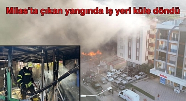 Milas’ta çıkan yangında iş yeri küle döndü
