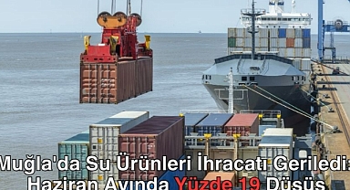 Muğla'da Su Ürünleri İhracatı Geriledi: Haziran Ayında Yüzde 19 Düşüş