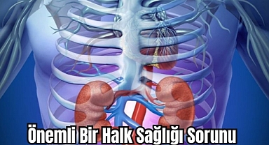 Önemli Bir Halk Sağlığı Sorunu