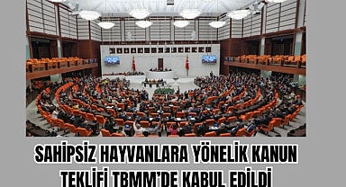 SAHİPSİZ HAYVANLARA YÖNELİK KANUN TEKLİFİ TBMM’DE KABUL EDİLDİ