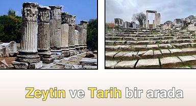 Zeytin ve Tarih bir arada