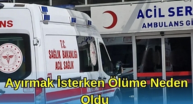 Ayırmak İsterken Ölüme Neden Oldu