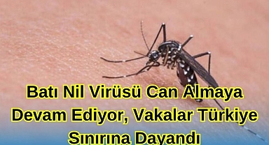 Batı Nil Virüsü Can Almaya Devam Ediyor, Vakalar Türkiye Sınırına Dayandı