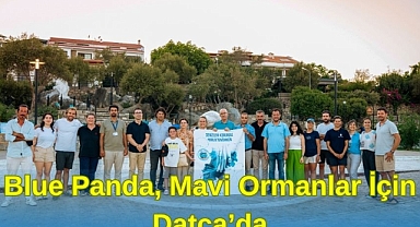 Blue Panda, Mavi Ormanlar için Datça’da