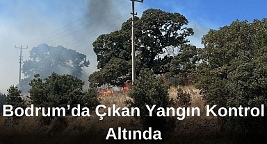 Bodrum’da Çıkan Yangın Kontrol Altında