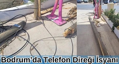 Bodrum’da Telefon Direği İsyanı