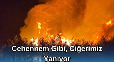 CEHENNEM GİBİ, CİĞERİMİZ YANIYOR