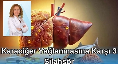 KARACİĞER YAĞLANMASINA KARŞI 3 SİLAHŞOR
