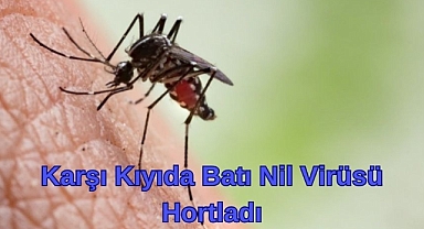 Karşı Kıyıda Batı Nil Virüsü Hortladı