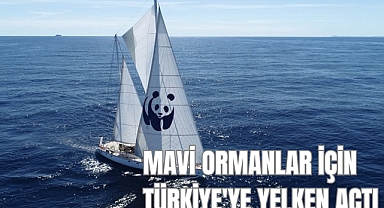 MAVİ ORMANLAR İÇİN TÜRKİYE'YE YELKEN AÇTI