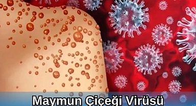 MAYMUN ÇİÇEĞİ VİRÜSÜ