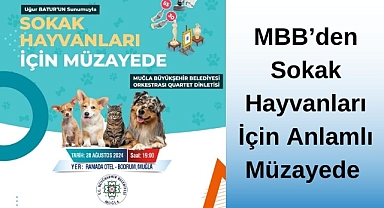 MBB'den Sokak Hayvanları İçin Anlamlı Müzayede