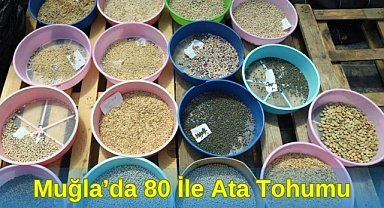 Muğla’da 80 ile Ata Tohumu