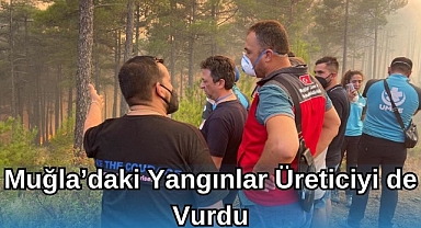 Muğla'daki Yangınlar Üreticiyi de Vurdu