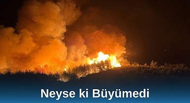 Neyse ki Büyümedi