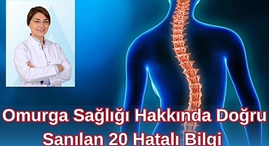 OMURGA SAĞLIĞI HAKKINDA DOĞRU SANILAN 20 HATALI BİLGİ 
