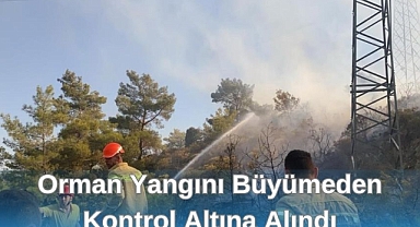 Orman Yangını Büyümeden Kontrol Altına Alındı