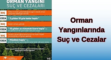 ORMAN YANGINLARINDA SUÇ VE CEZALAR