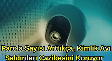 Parola Sayısı Arttıkça, Kimlik Avı Saldırıları Cazibesini Koruyor
