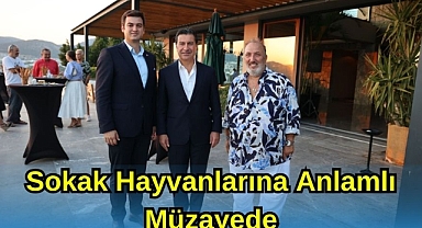  Sokak Hayvanlarına Anlamlı Müzayede