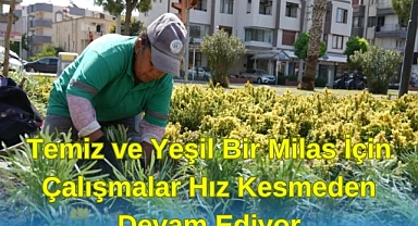 Temiz ve Yeşil Bir Milas İçin Çalışmalar Hız Kesmeden Devam Ediyor