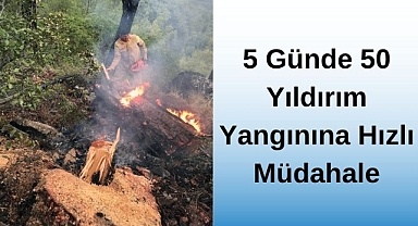 5 Günde 50 Yıldırım Yangınına Hızlı Müdahale