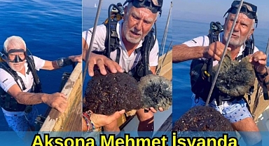 Aksona Mehmet İsyanda