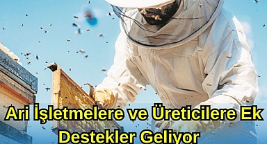 ARİ İŞLETMELERE VE ÜRETİCİLERE EK DESTEKLER GELİYOR