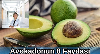 Avokadonun 8 Faydası