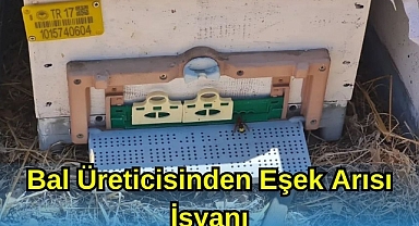 Bal Üreticisinden Eşek Arısı İsyanı