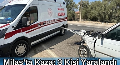 Milas’ta Kaza: 3 Kişi Yaralandı