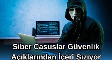 Siber Casuslar Güvenlik Açıklarından İçeri Sızıyor