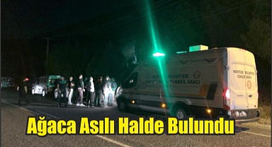 Ağaca Asılı Halde Bulundu