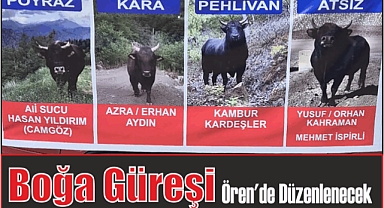 Boğa Güreşi Ören’de Düzenlenecek