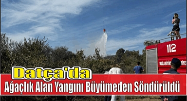 Datça'da Ağaçlık Alan Yangını Büyümeden Söndürüldü