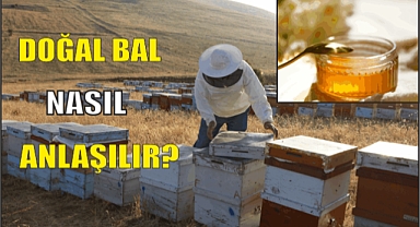DOĞAL BAL NASIL ANLAŞILIR