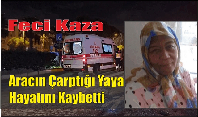 Feci Kaza Aracın Çarptığı Yaya Hayatını Kaybetti