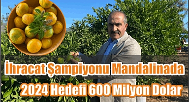 İhracat Şampiyonu Mandalinada 2024 Hedefi 600 Milyon Dolar