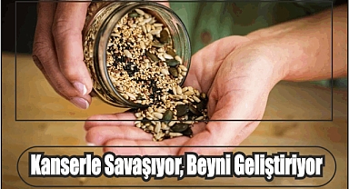 Kanserle Savaşıyor, Beyni Geliştiriyor