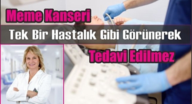 Meme Kanseri Tek Bir Hastalık Gibi Görünerek Tedavi Edilmez