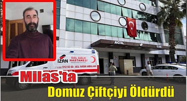Milas’ta Domuz Çiftçiyi Öldürdü