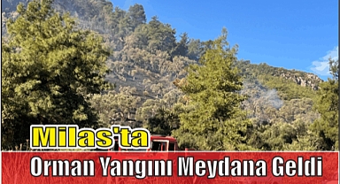 Milas’ta Orman Yangını Meydana Geldi