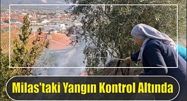  Milas’taki Yangın Kontrol Altında