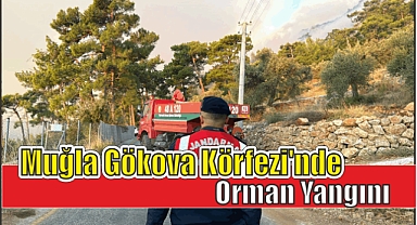 Muğla Gökova Körfezi’nde Orman Yangını