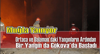 Muğla yanıyor... Ortaca ve Dalaman'daki Yangınların Ardından Bir Yangın da Gökova'da Başladı